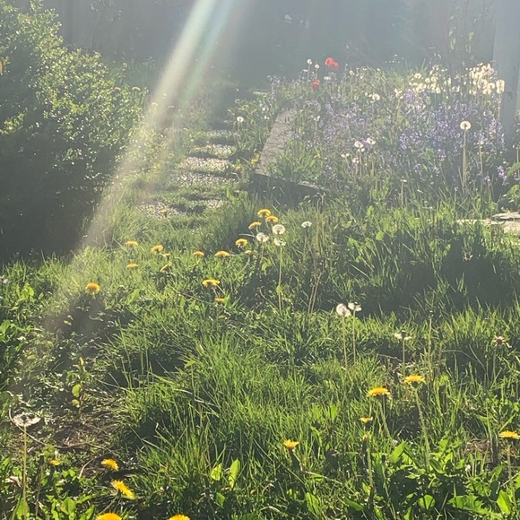 Meet your Posher, Lola - Picture 11 of 11